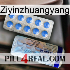 Ziyinzhuangyang 39